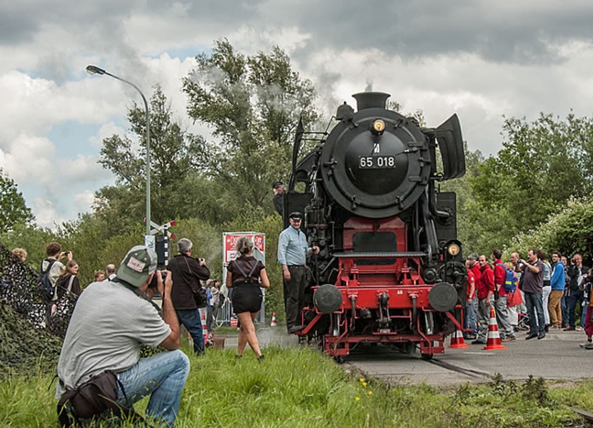 Dordt in Steam