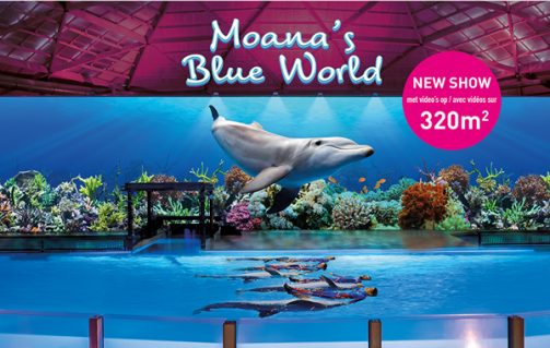 Moana's Blue World in Winterpret Boudewijn Seapark