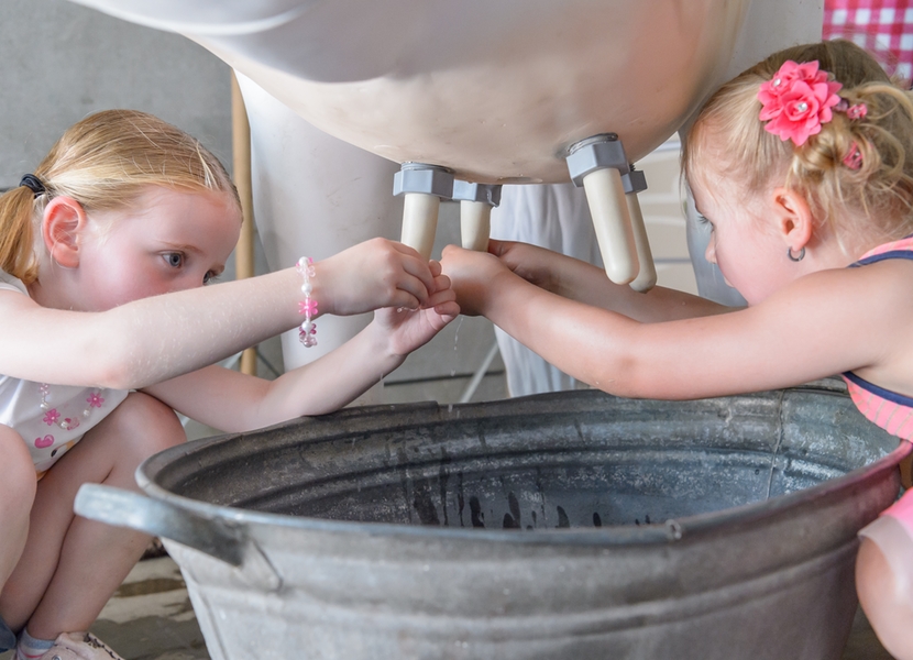 Spelenderwijs het boerenleven verkennen op avonturenboerderij Molenwaard