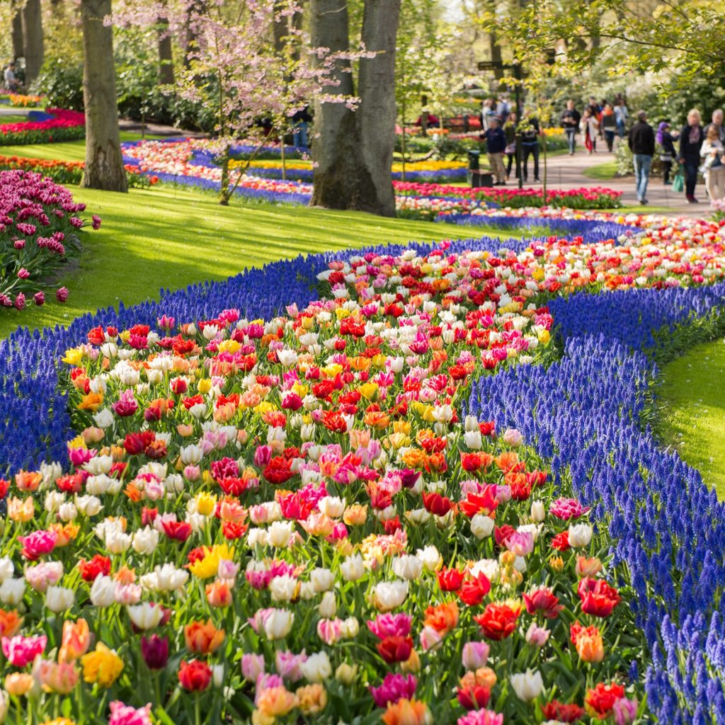 De Keukenhof in Lisse