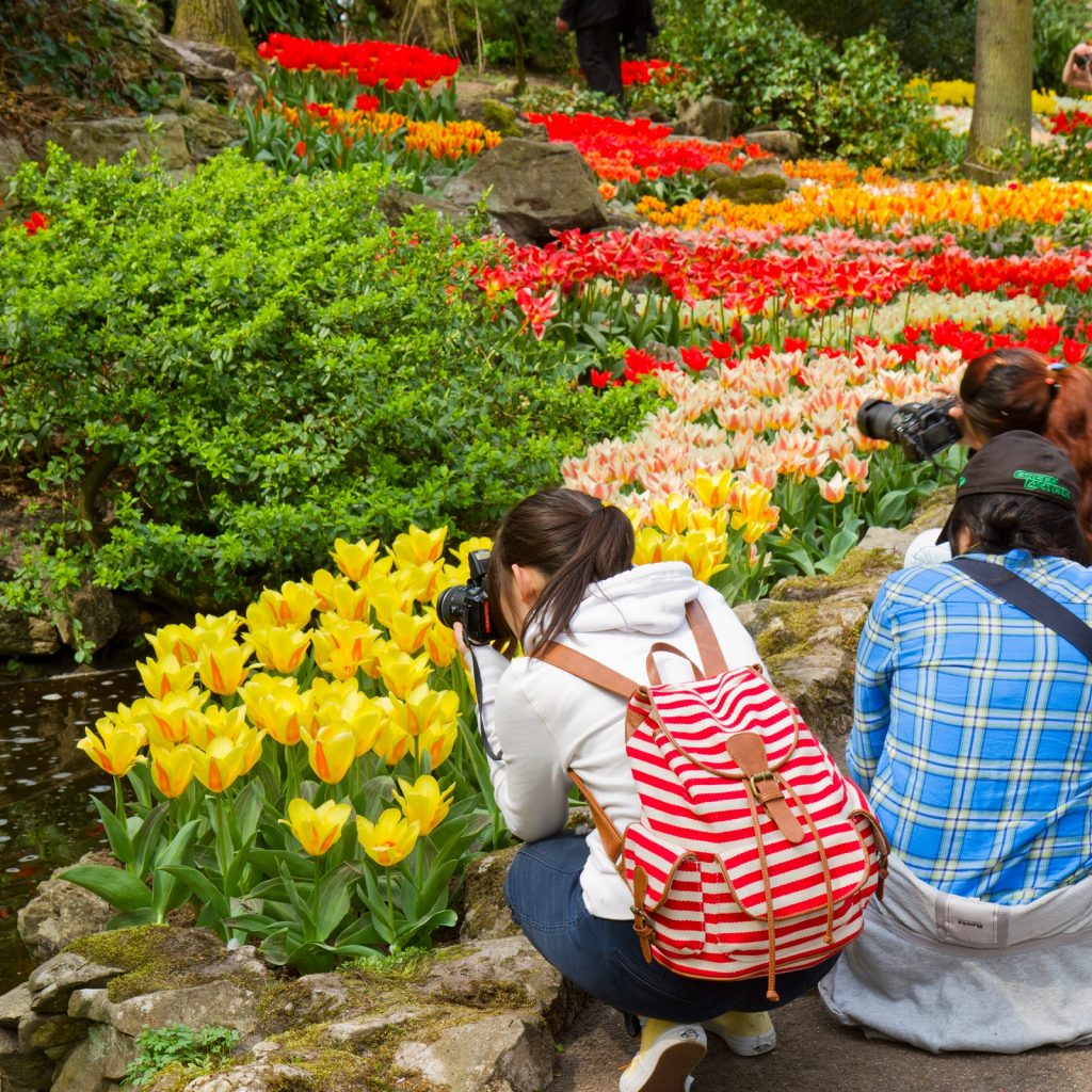 Korting Tickets voor de Keukenhof in Lisse