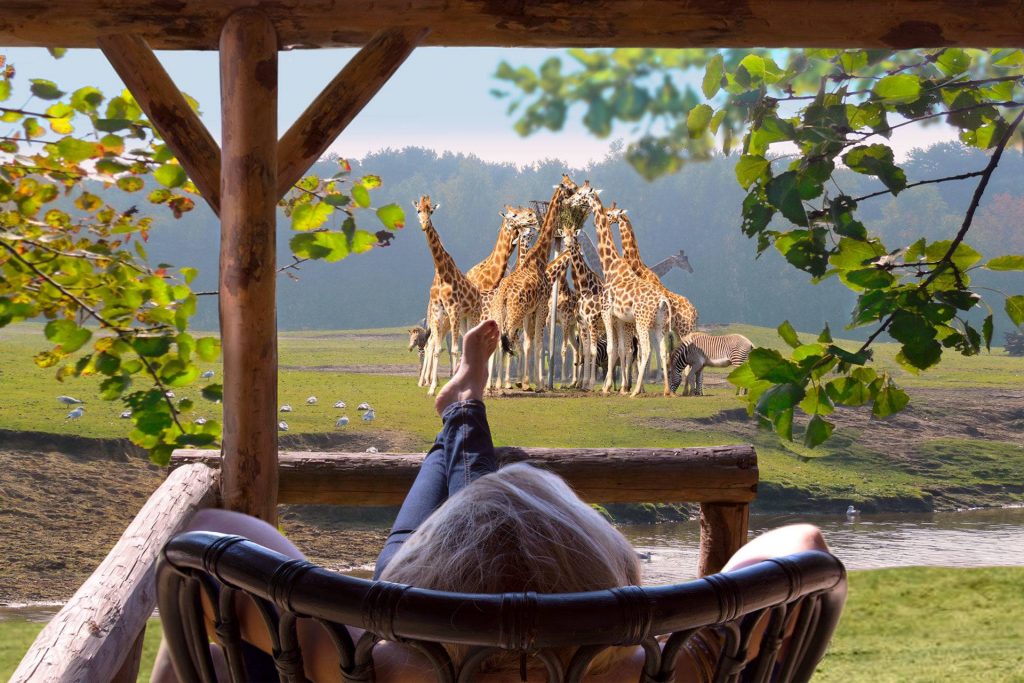 Vanaf de veranda van je gehuurde huisje over de savanne uitkijken op de Beekse Bergen