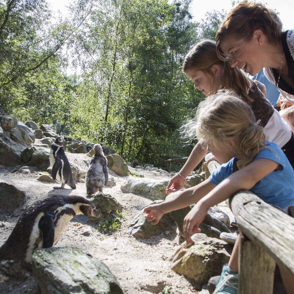 Familiepark AquaZoo in Leeuwarden