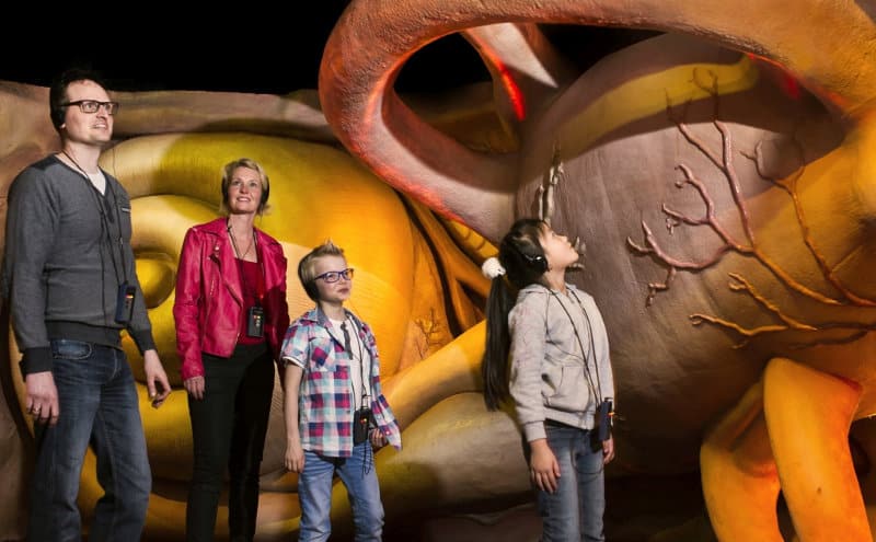 Interactive exhibition Journey through the human body