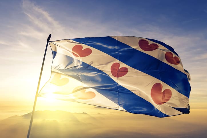 Vlag van Friesland