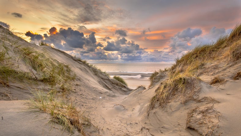 Dagje uit Noord Holland op een stil strand