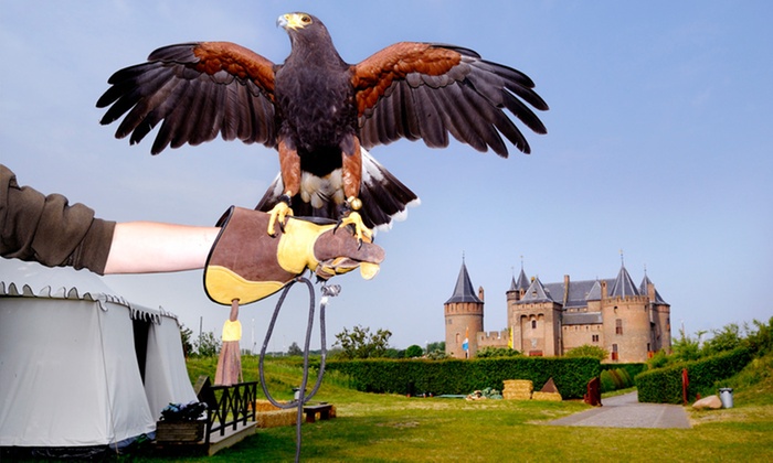 De Valkenier geeft roofvogel shows in het Muiderslot