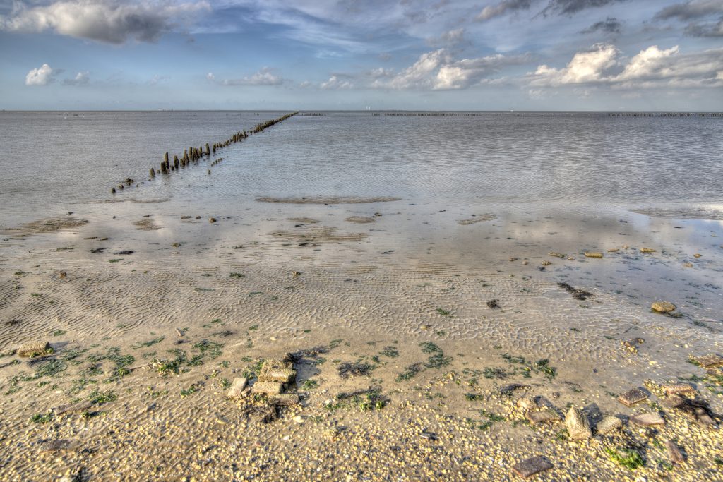 Nationaal Park Lauwersoog