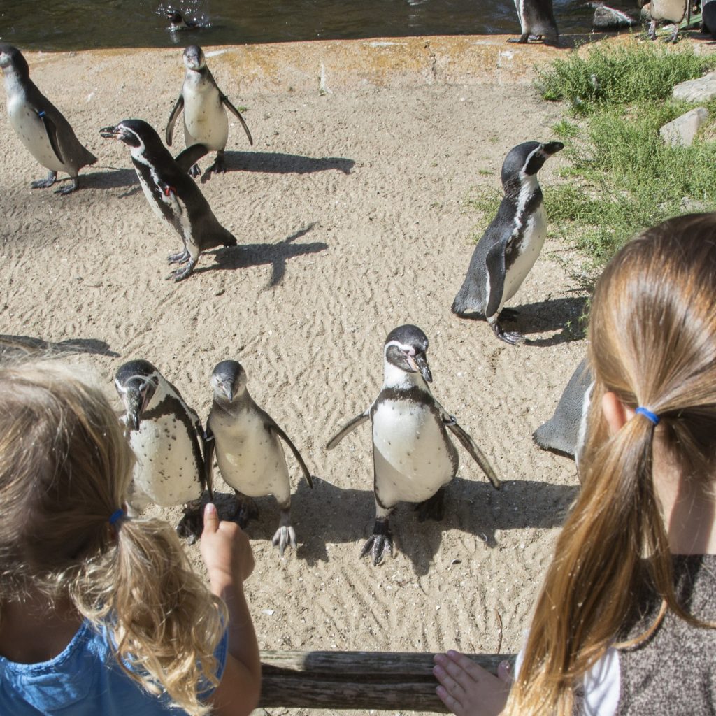 Familiepark AquaZoo in Leeuwarden