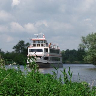 Rondvaart Biesbosch