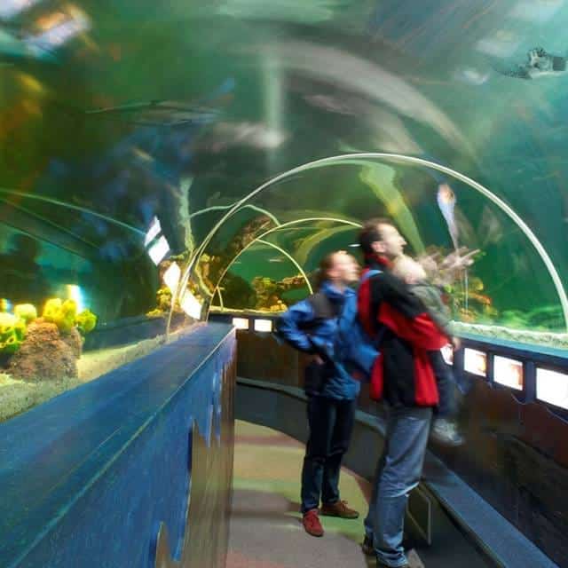 Onderwatertunnel in Sea Life Scheveningen.