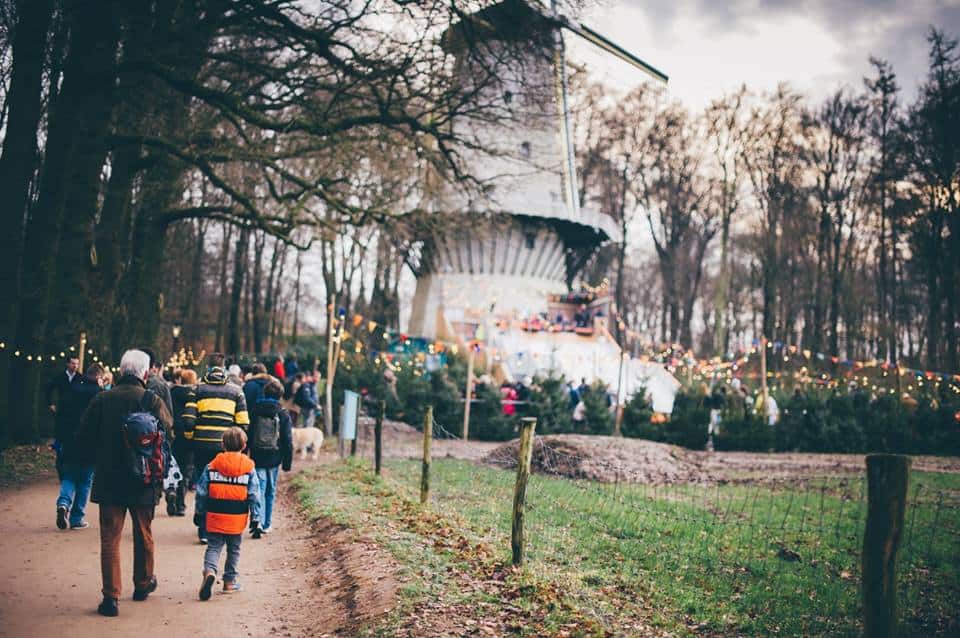 Nehmen Sie alle möglichen Dinge während der Landleven Wintertage.