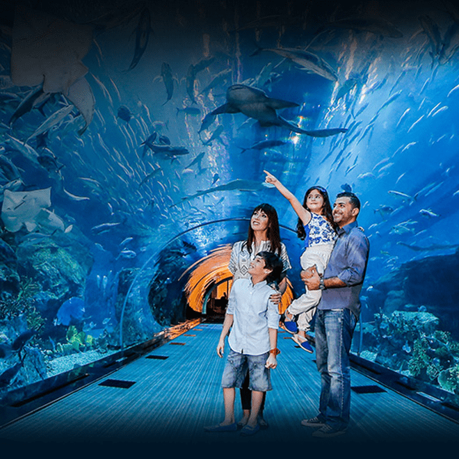 Dubai Aquarium and Underwater Zoo