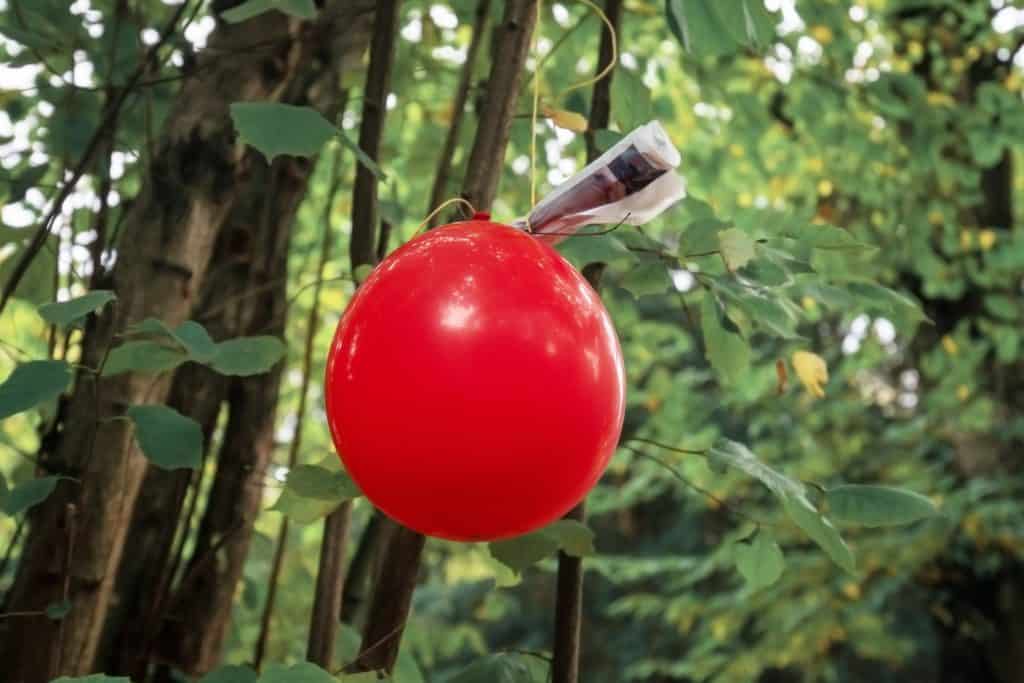 speurtocht als dagje uit om de hoek