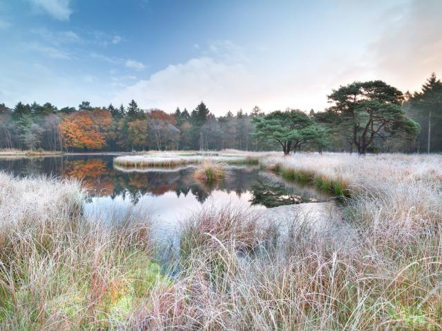 Dagje uit Drenthe, Nationaal Park Dwingelderveld