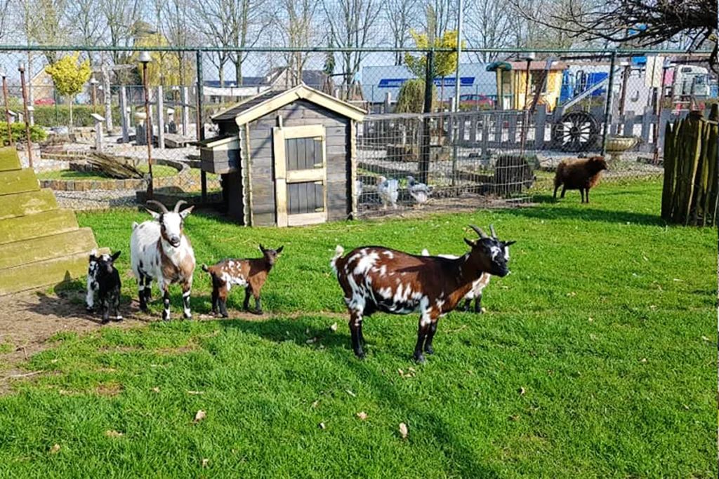 Cowboy en Indianen Speelreservaat