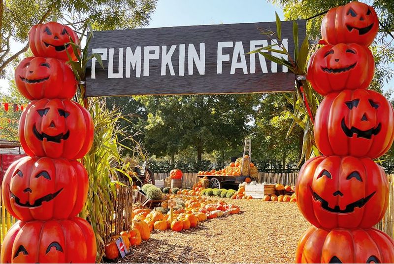 Toverland Halloween Days