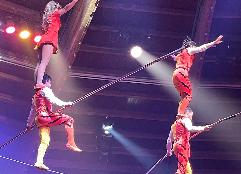 Circus Hollandia