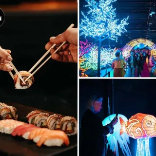 Japan Light & Food Festival