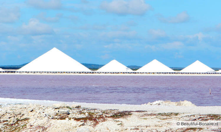 Zoutpannen Beautiful Bonaire