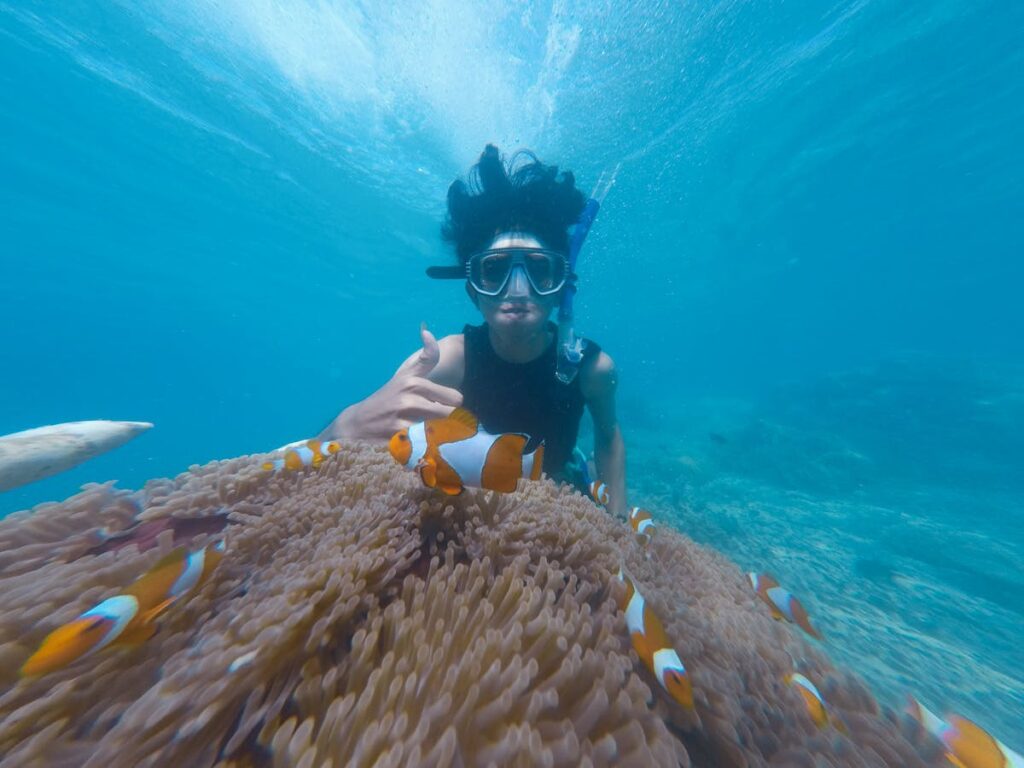 Snorkelen om Curacao